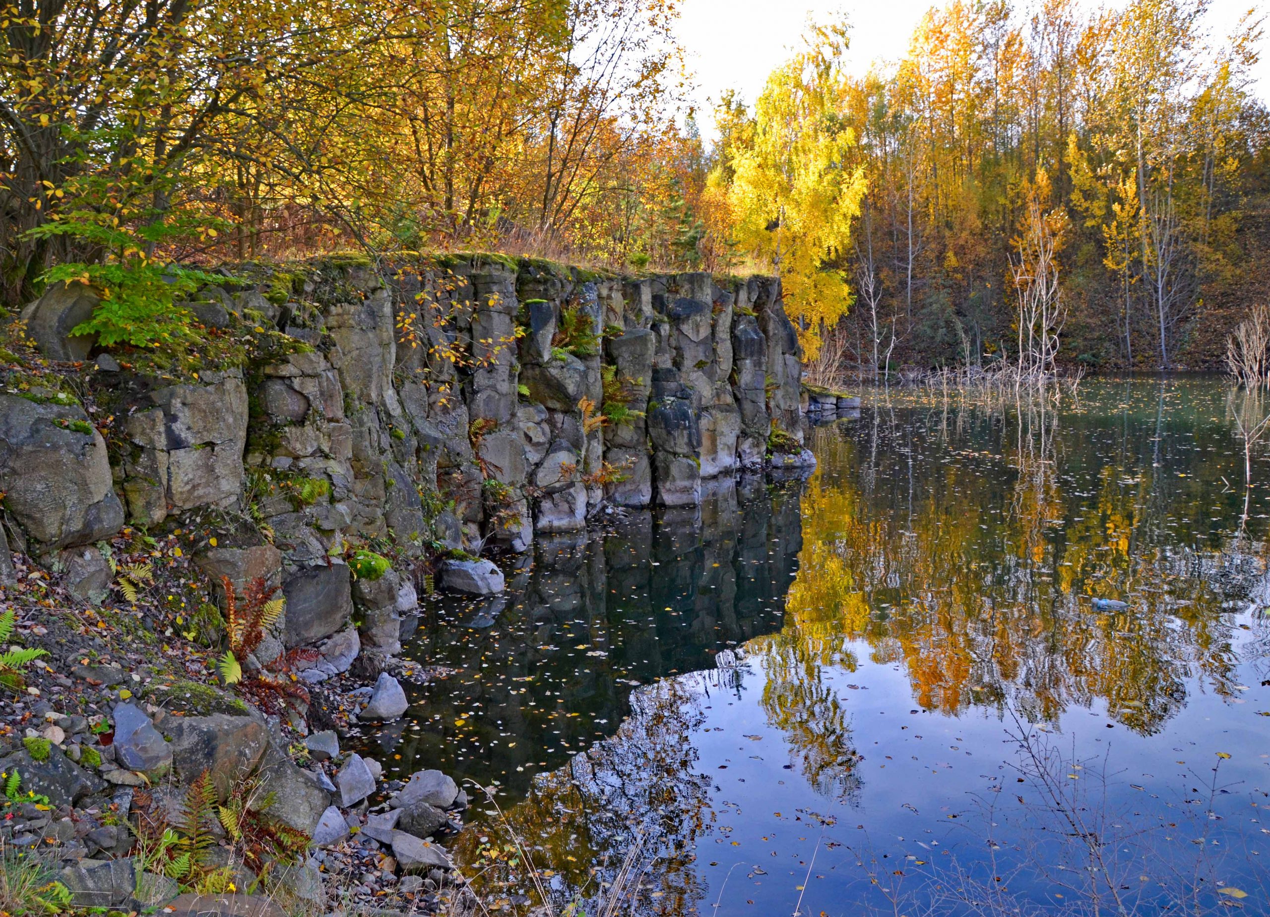 Herbst im ehemaligen Basaltsteinbruch am Nöll bei Oberaula