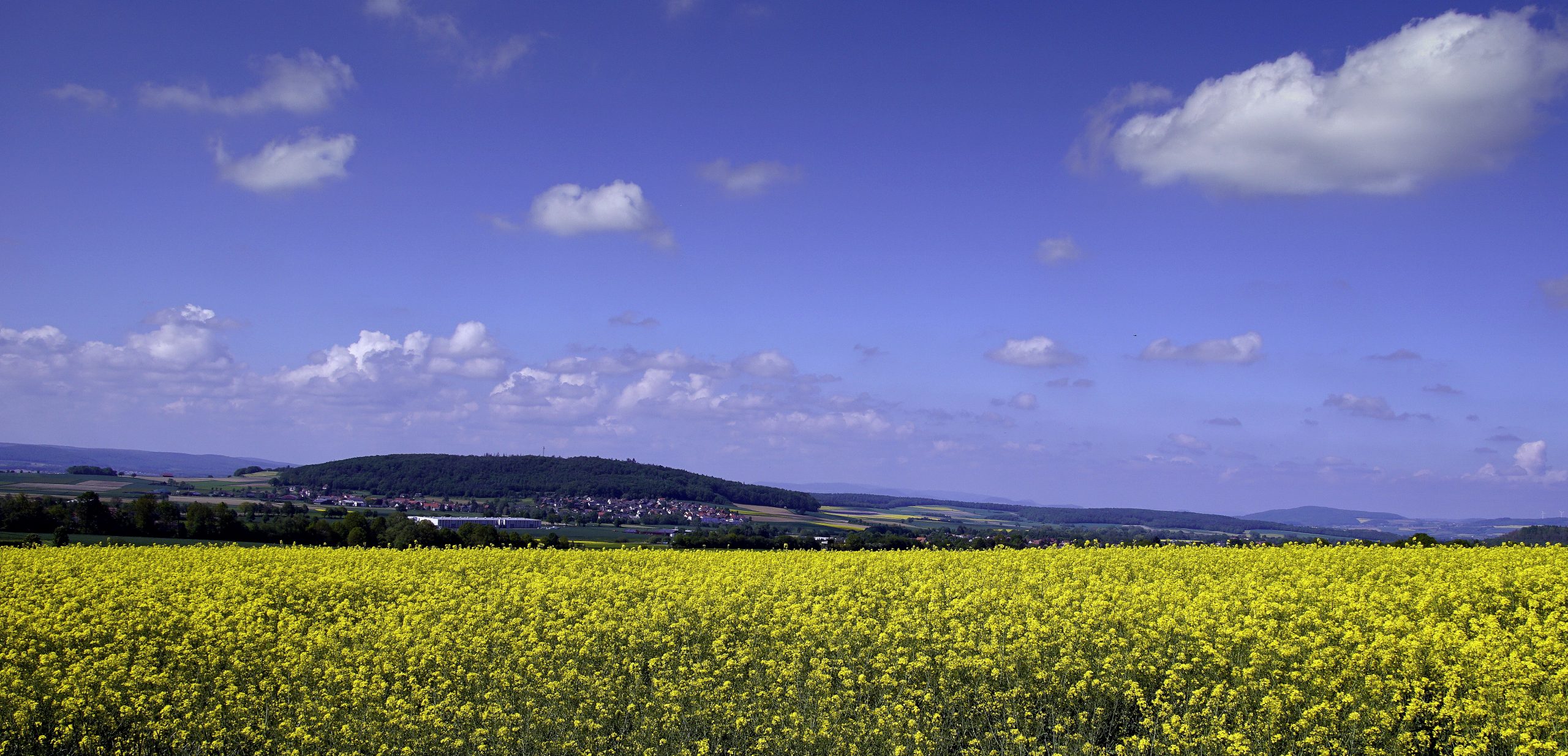 Weitblick vom Spiessturm über gelbe Rapsfelder und grüne Landschaften