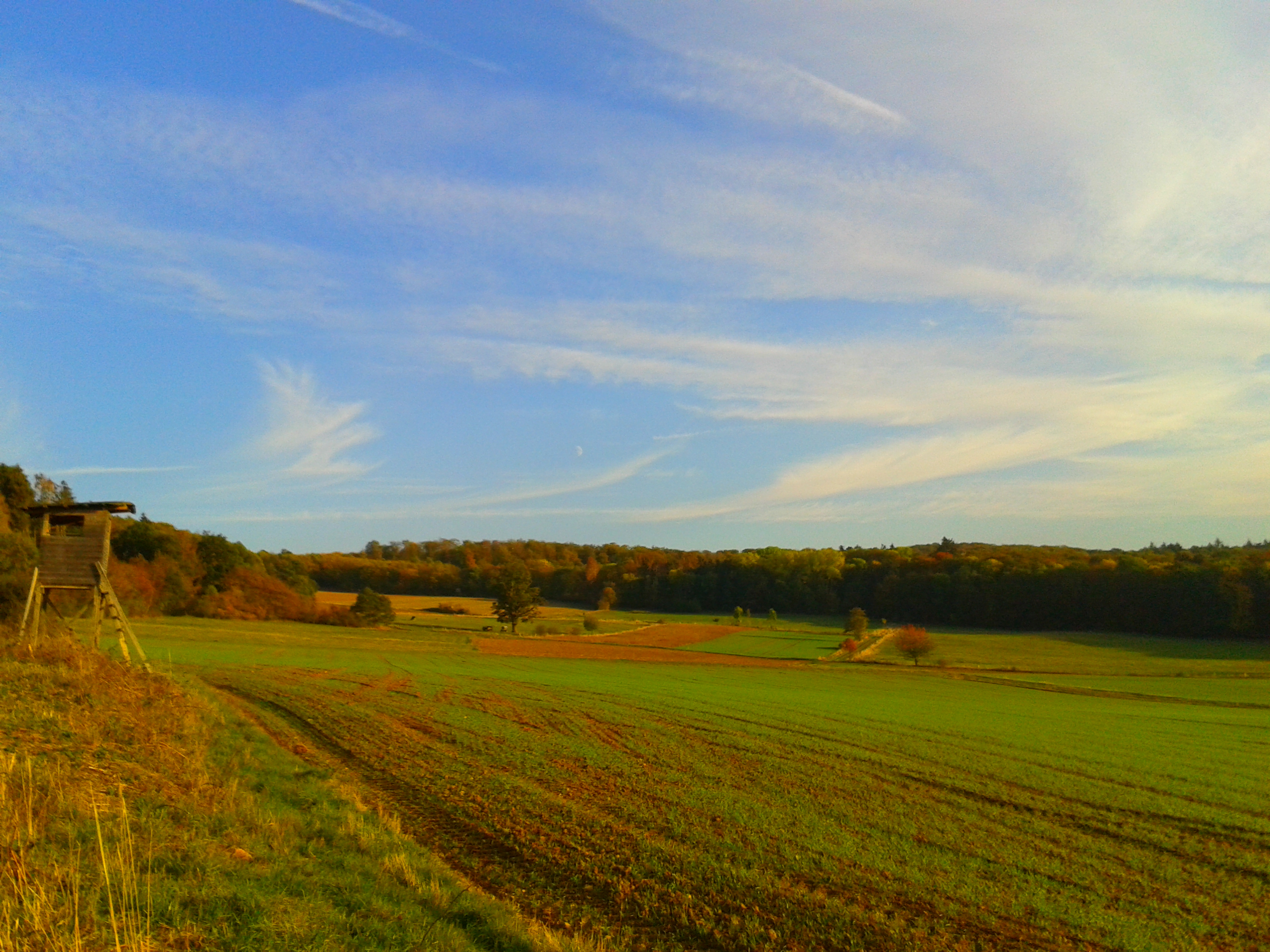 Felder im Herbst rund um Schellbach