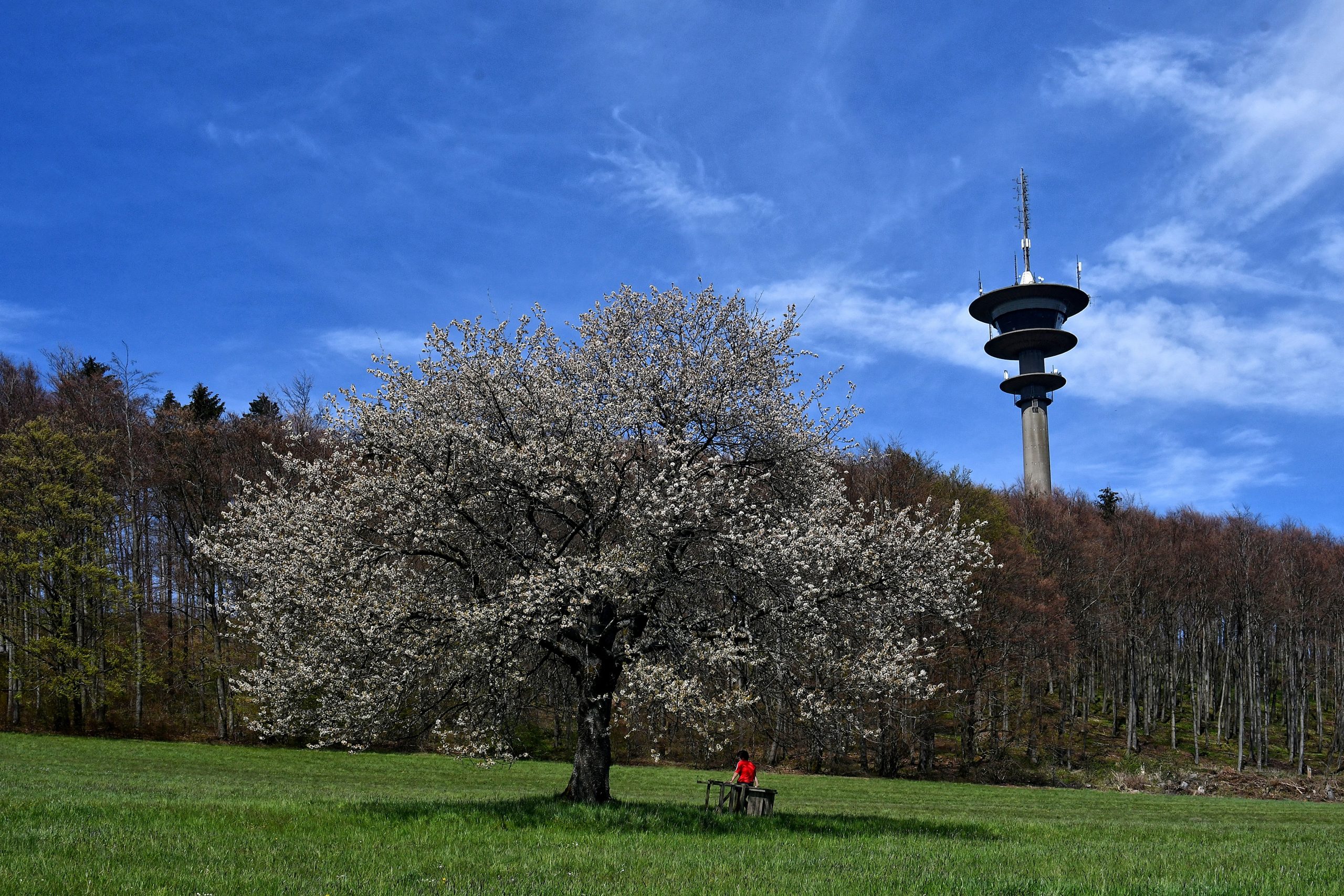 Eisenberg Fernsehturm im Frühling