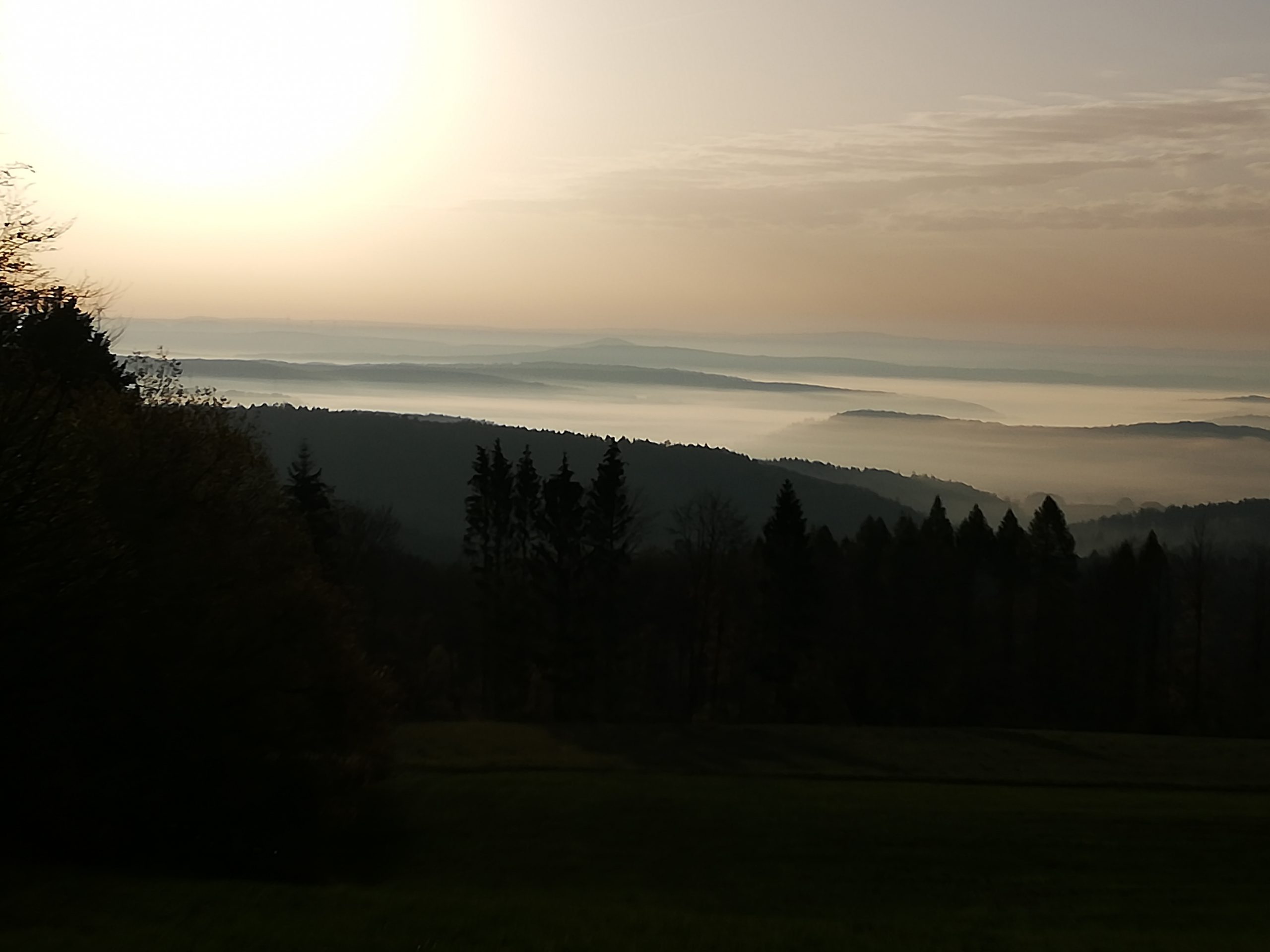 Nebel über dem Fuldatal