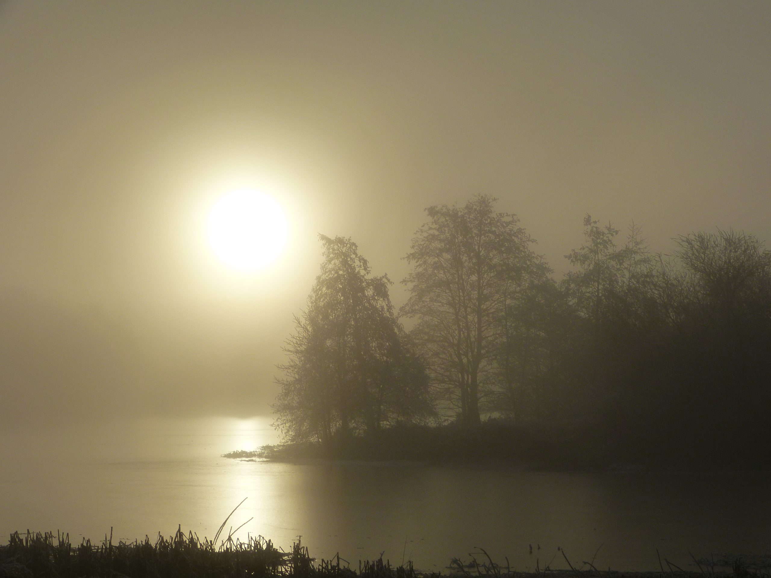 Adventliches Duell zwischen Nebel und Sonne